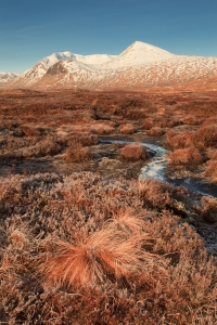 Skotsko_Rannoch-moor